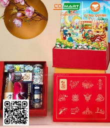 Hộp Quà Tết Thịnh Vượng HQ313