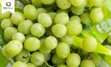 TUẦN LỄ TRÁI CÂY TƯƠI NHẬP KHẨU TẠI CQ MART – Nạp "Vitamin" cho sức khỏe mùa này